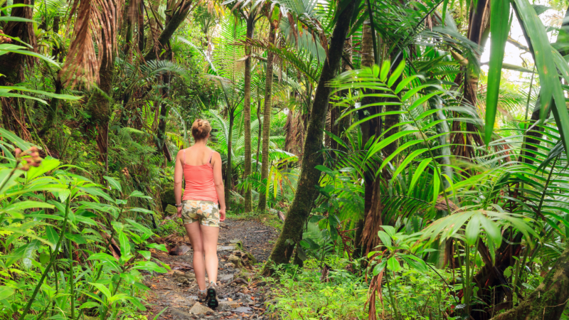 El Yunque National Forest